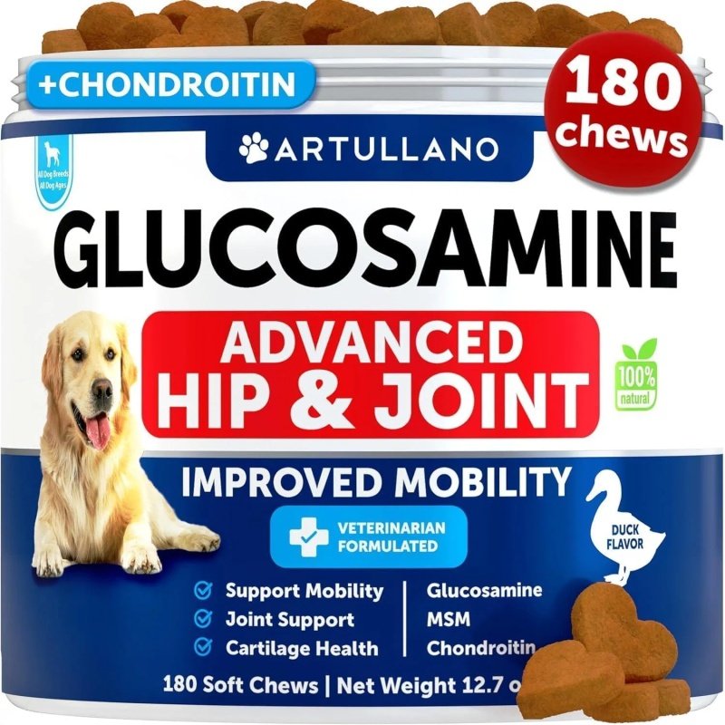 Glucosamine For Dogs Hip And Joint Supplement For Dogs With Arthritis ...